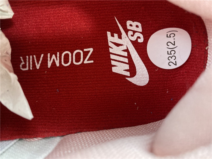 nike dunk sb bv1310-012