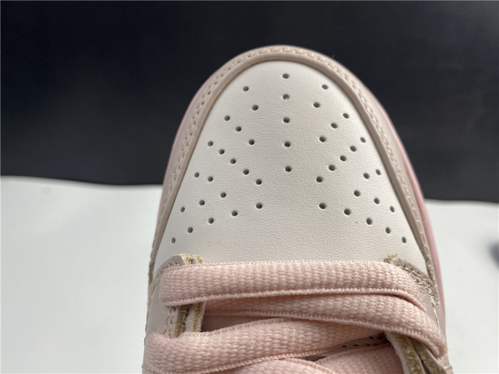 nike dunk sb bv1310-012