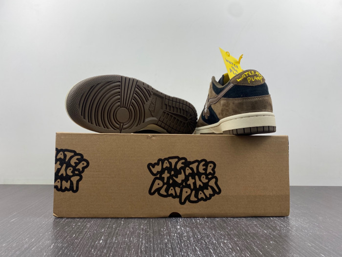 nike dunk water the plant 