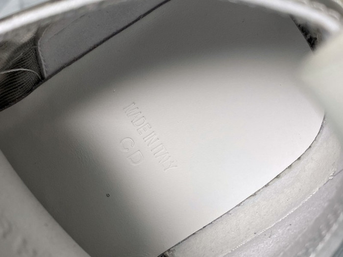 D*or b23 oblique low top sneaker t00853h063