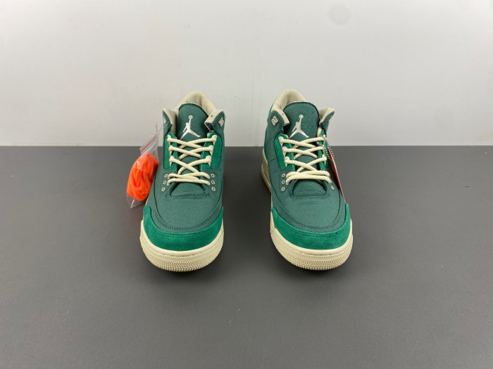 nina Ch*el abney x air jordan 3 fz7974-300