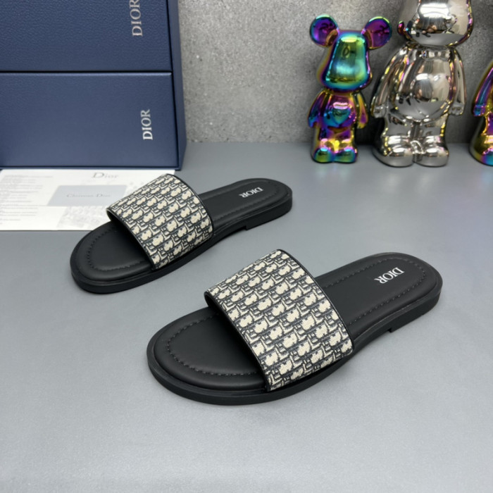 D*or slides d0305